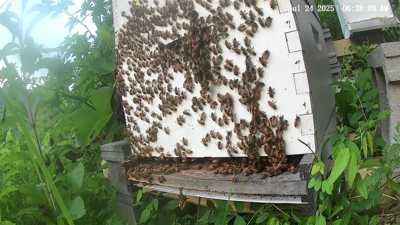 Thursday Morning Sunrise