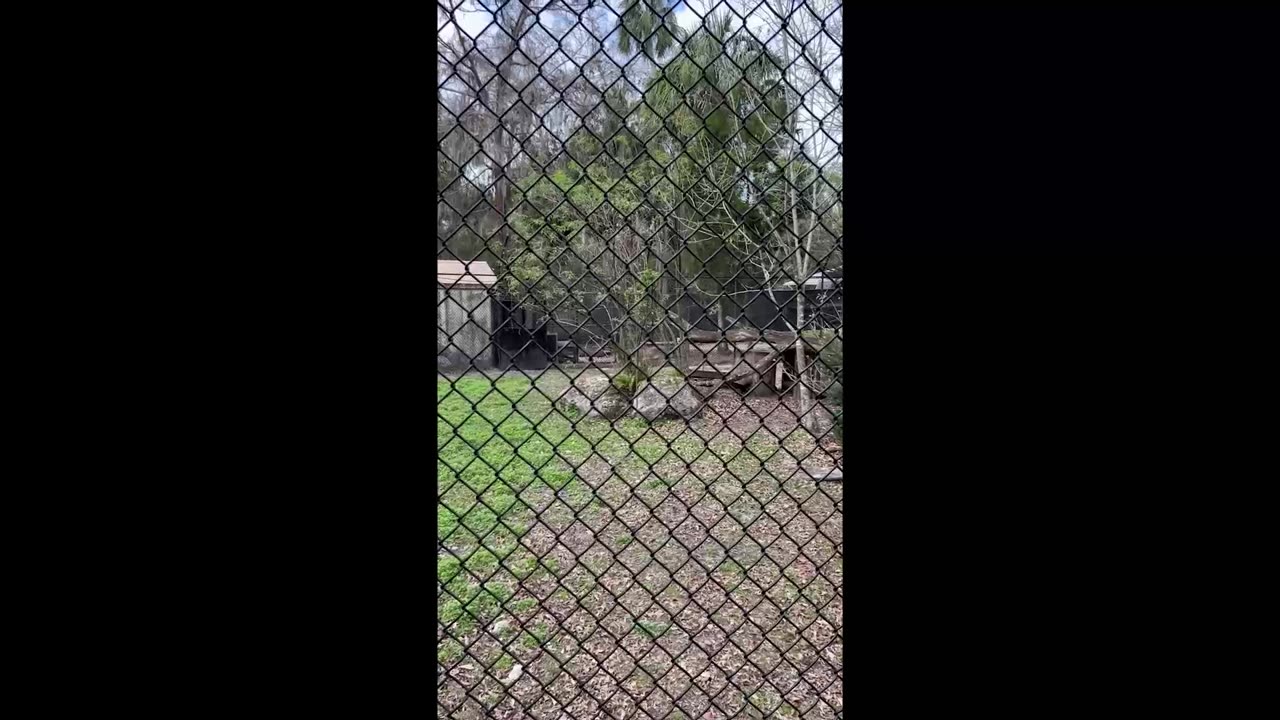 Homosassa Springs Wildlife State Park