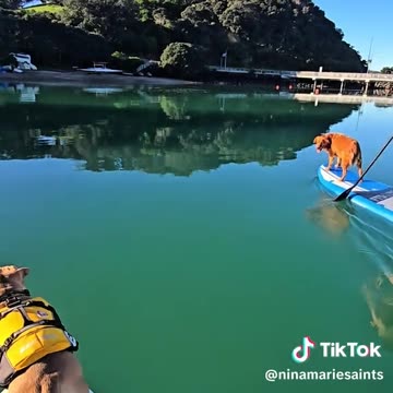 Amazing! (via:@ninamariesaints)