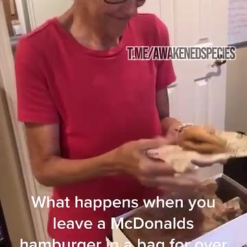 20+ years McDonald's hamburger