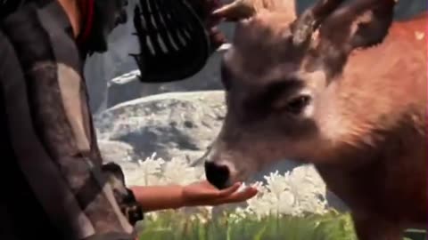 And you help animals? (=^･ω･^)つ✨[Ghost of Tsushima]
