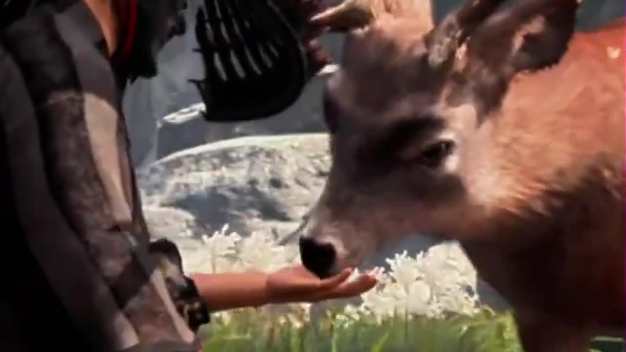And you help animals? (=^･ω･^)つ✨[Ghost of Tsushima]