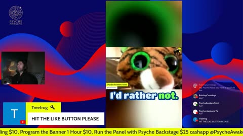 09/15/25 Psyche Awakens VOD: "Breakfast with Psyche Open Panel Tarot and Cats"