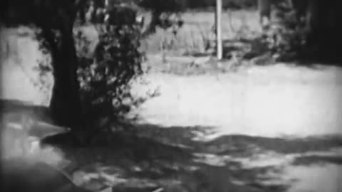 The Mad Whirl (1925)