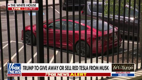 Trump shares blunt take on Musk as public rift grows