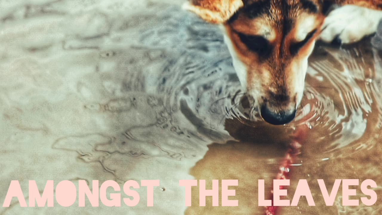 Iron sharpens iron- amongst the leaves