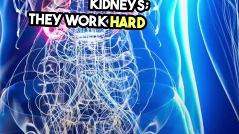 Advanced Kidney Stone Treatment at Sumathi Hospital