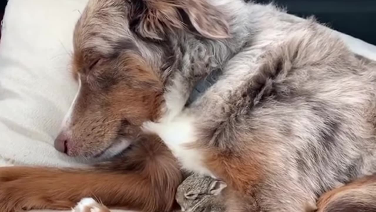 💞