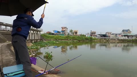 Shrimp Jigging in Lake Grass Beds