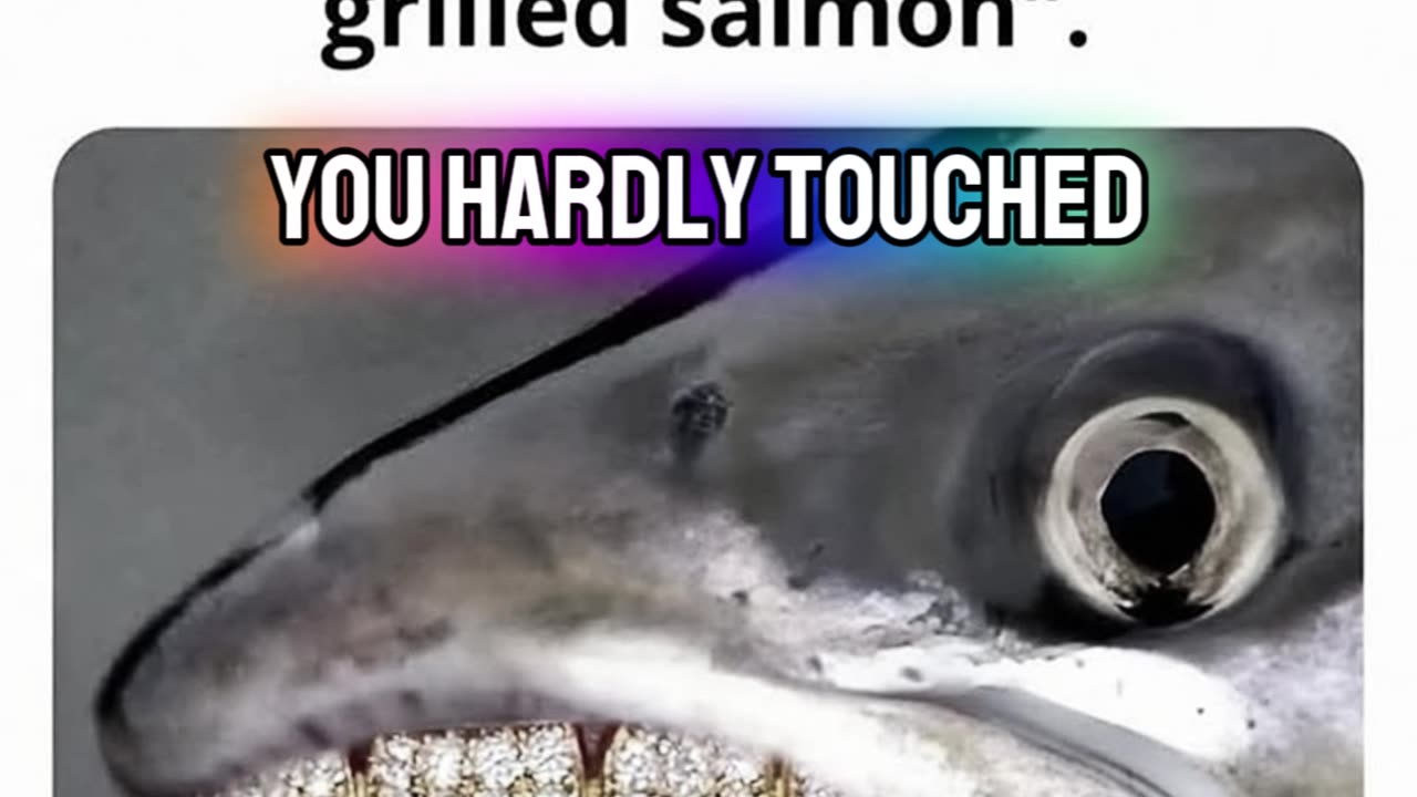 I Dont Think This is What They Meant
