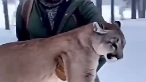 Woe Day 85. I am in the ark. Waiting for GOD to open the Door for a spring/summer Pentecost rapture