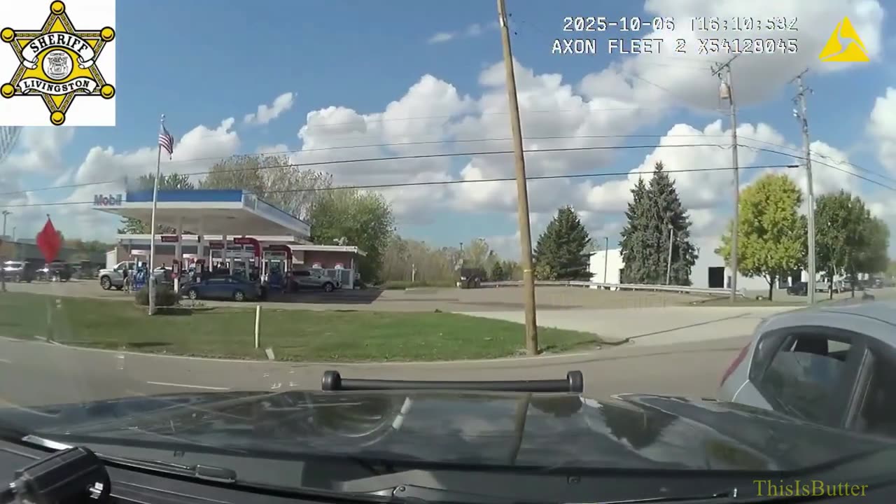 Man leads police on wild chase before being tased outside Fowlerville gas station