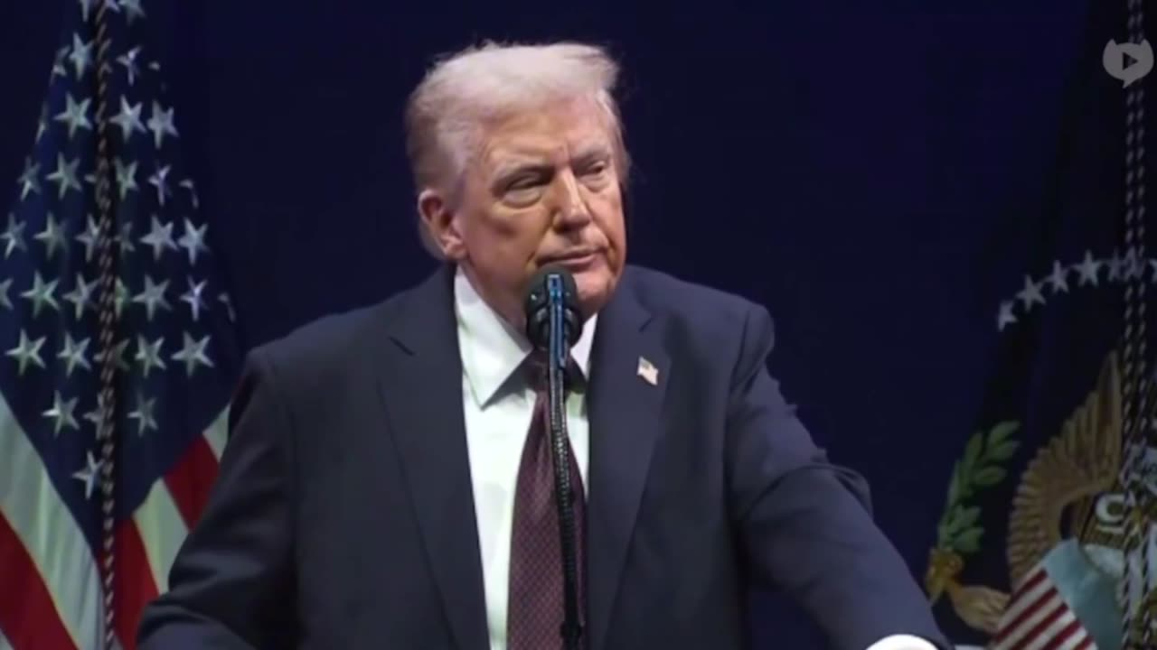 Believer - Scotty Films