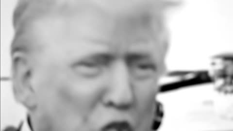 Trump praises loomer/finds out Sydney Sweeney is a registered republican