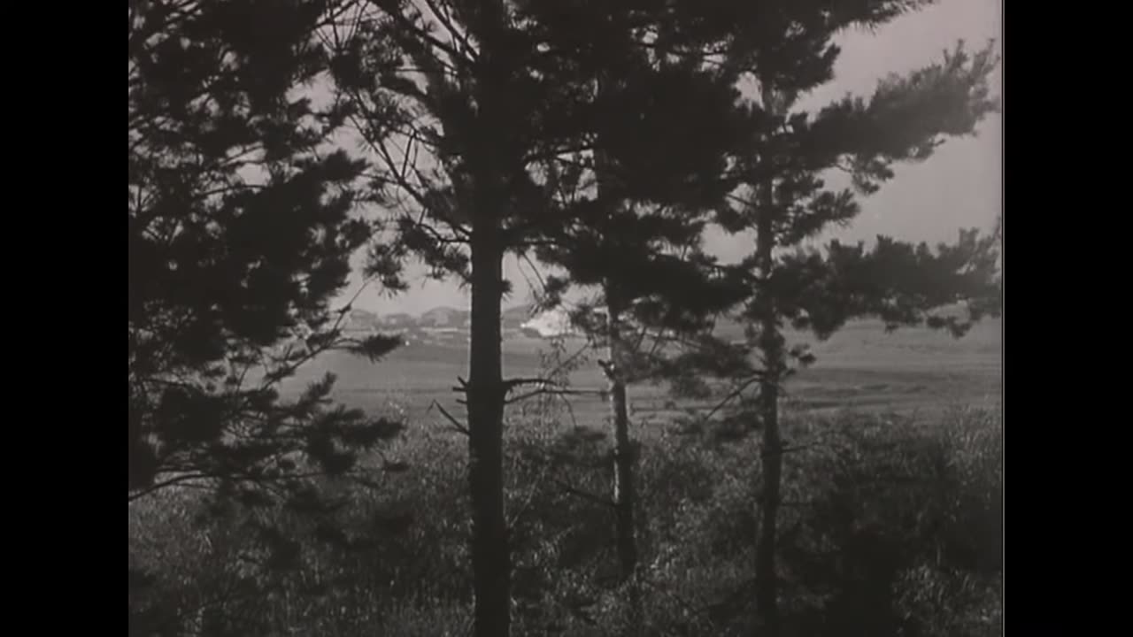 Concealed 88mm Flak and a Soviet bomber shot down over the Eastern Front in the Summer of 1942