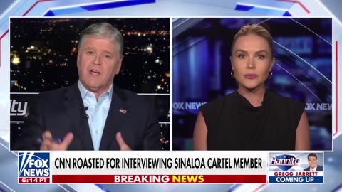 ‘NO STONE UNTURNED’: Karoline Leavitt says Trump is restoring ‘law and order’
