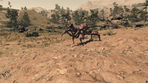 Mutual of Akila's Wild Systems Episode 5