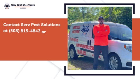 Effective Pest Control Solutions in Massachusetts