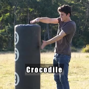 How Animals Fight. Part 2 (with emojis)