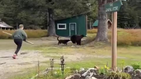 The bear said leash your dog