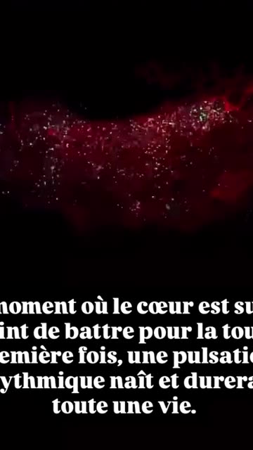 Quand le coeur commence à battre ... Qui a le droit d'arrêter cela