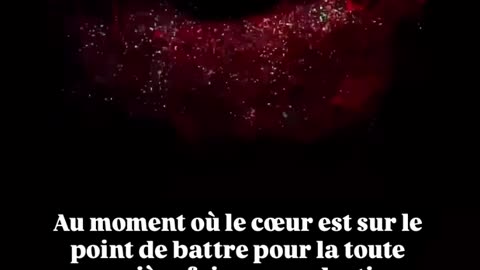Quand le coeur commence à battre ... Qui a le droit d'arrêter cela