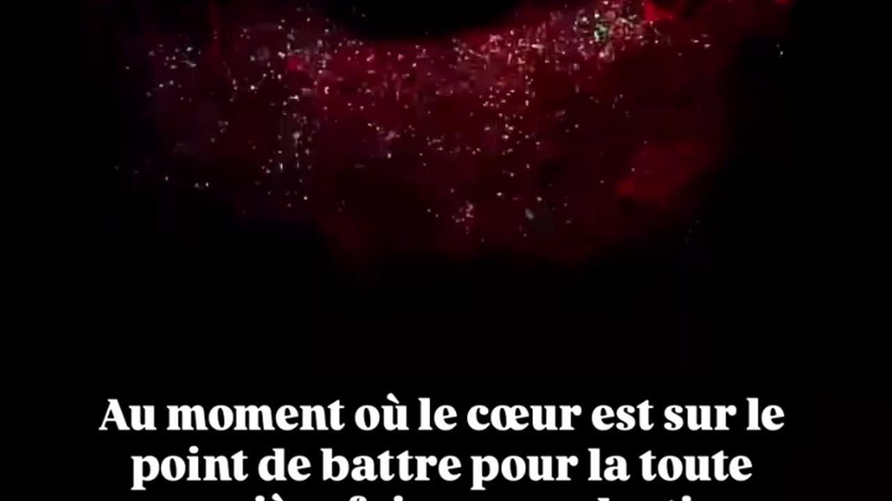 Quand le coeur commence à battre ... Qui a le droit d'arrêter cela