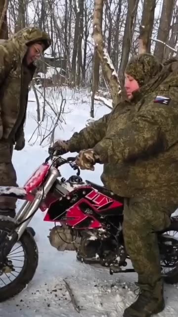 Pigs Can't Drive Either