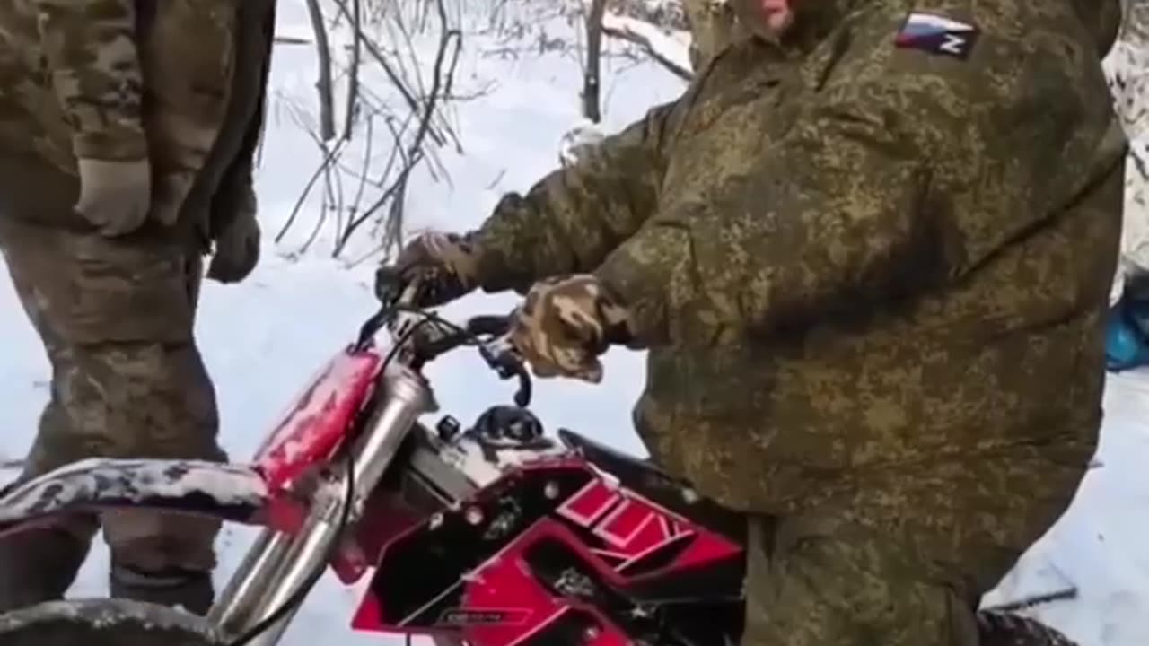 Pigs Can't Drive Either