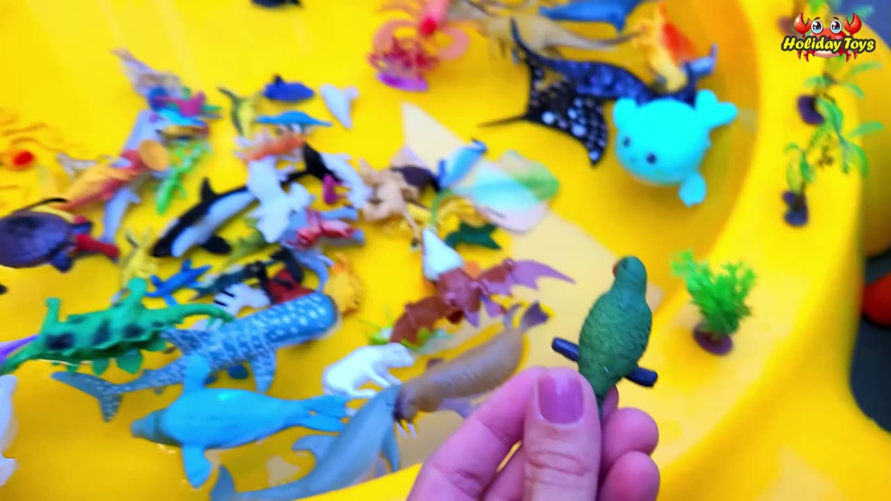 Make Hole in the Ground for the Ants to House