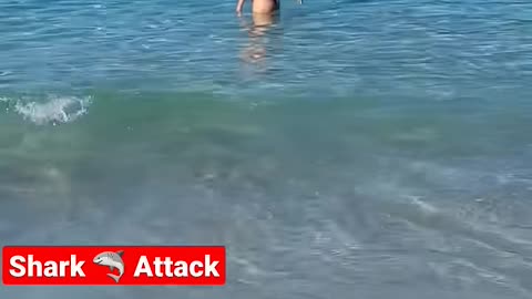 Shark Attack Rio De Janeiro Atlantic Ocean #shark #travel #subscribe #comedy #brazil #ocean