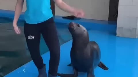 The animals 🤣😂