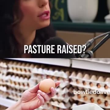 Deceptive Eggs? U.S. Chicken Feed Uses Synthetic Additives to Fake "Farm-Fresh" Yolk Color