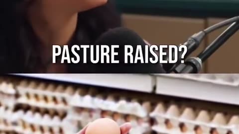 Deceptive Eggs? U.S. Chicken Feed Uses Synthetic Additives to Fake "Farm-Fresh" Yolk Color