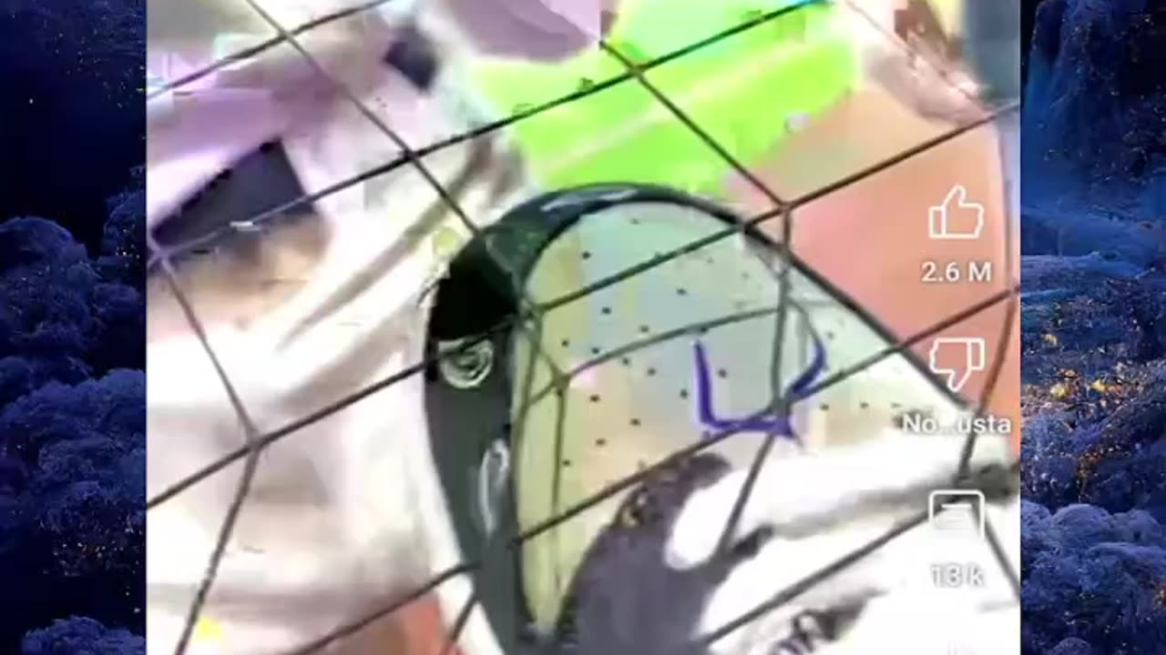 Just shorts videos 😜😜😜!!!