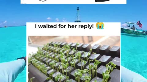 #funny #memes #fyp
