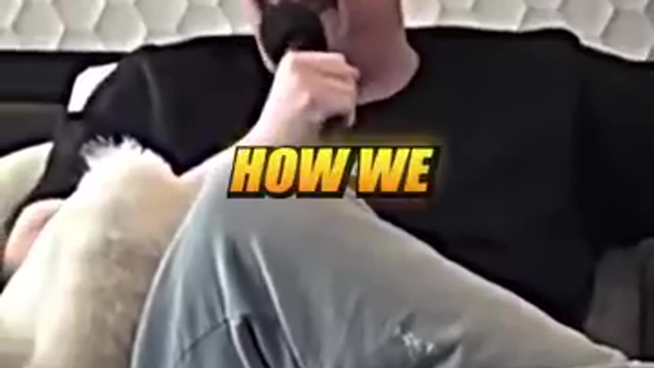 Shane's Podcast is Top-Quality 😎
