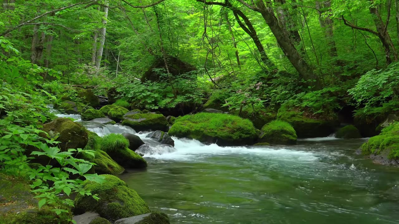 Blue Whisper – silence speaking in color.