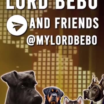 2022-03-22 women in ukraine army killed