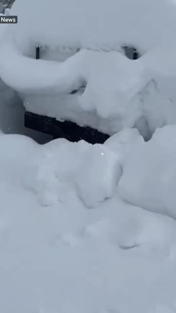 Record-breaking snowfall strikes Aomori, northern Japan 🇯🇵