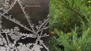 🔥🔥🔥 Fact or Fiction..??