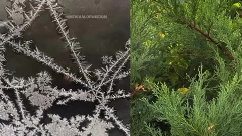 🔥🔥🔥 Fact or Fiction..??