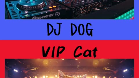 DJ Dog vs VIP Cat – Which One Would You Choose?