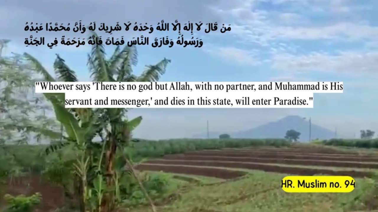 Partly about the Islamic religion 7