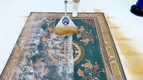 master carpet cleaning