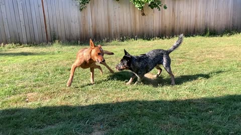slow mo combat 9083209842322908