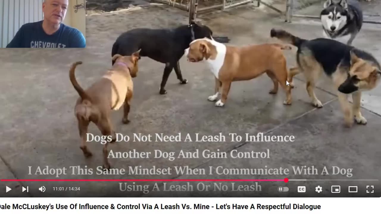 Kevin the Anti Dog Trainer - Brandon Fouche, Cesar Millan, the Leash and a Process
