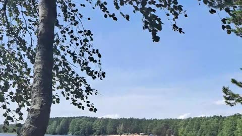 Lake Swing Bliss! 🌊