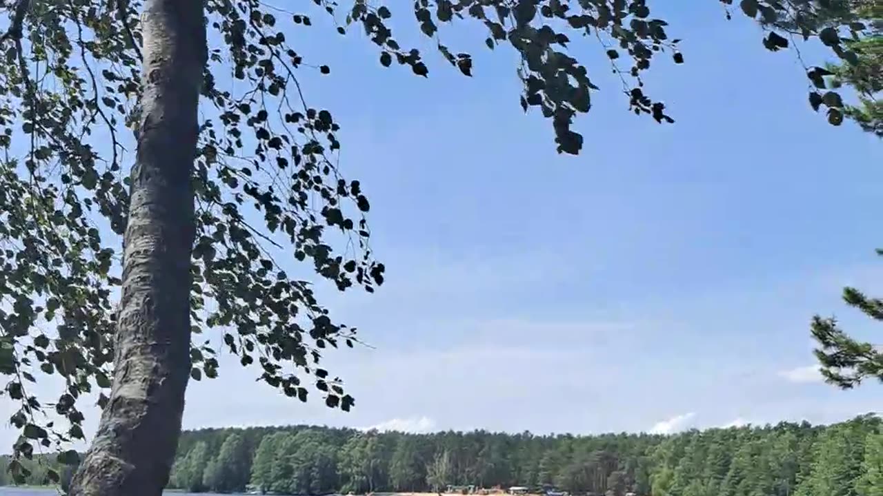 Lake Swing Bliss! 🌊