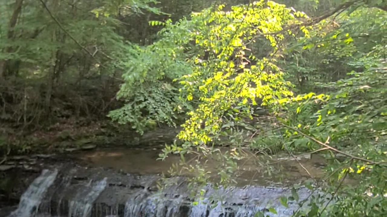 Treman Park Gorge Trail Ascent: Side Path Waterfall